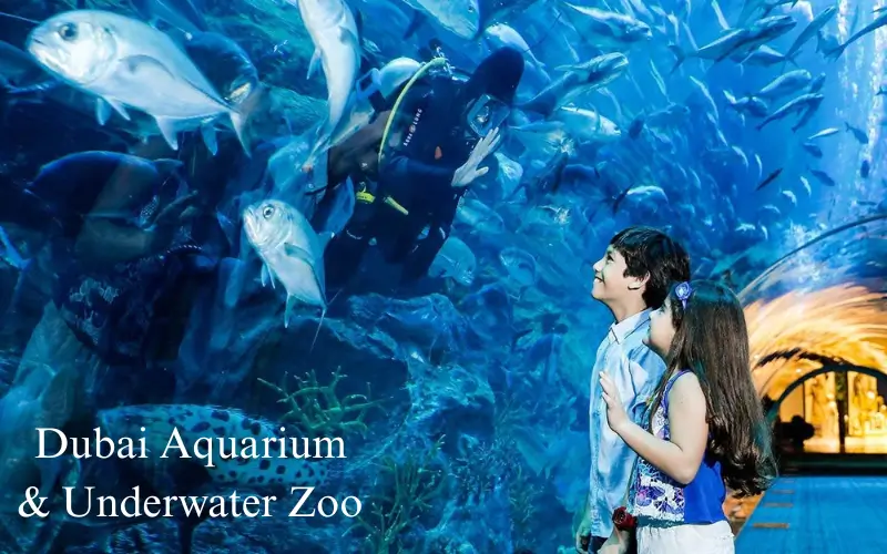 Dubai Aquarium and Underwater Zoo