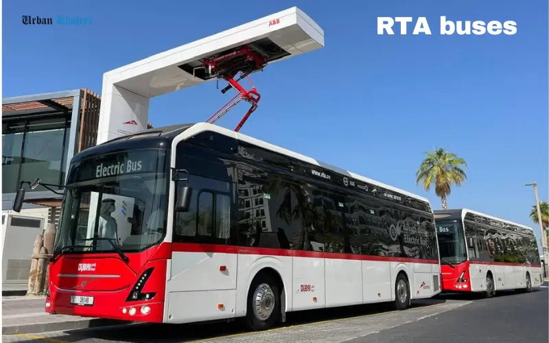 RTA buses