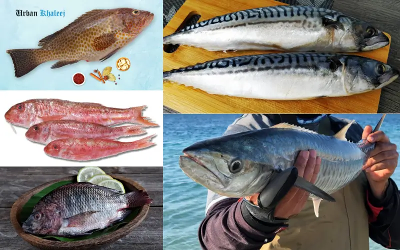 types of fish