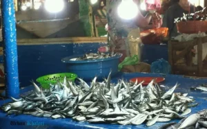Fish Market Dubai