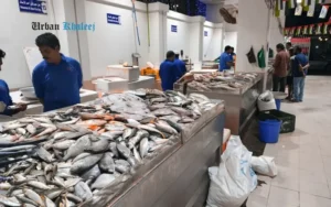Fujairah Fish Market