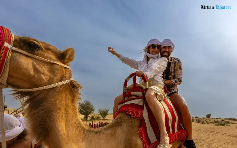Camel Culture