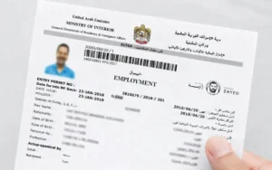 Check UAE Visa Status Online with Passport Number