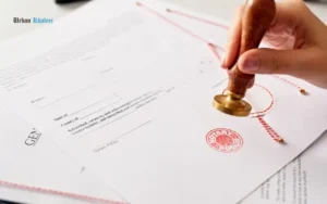 Compliance and Administrative