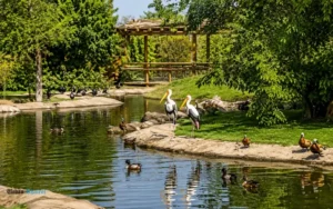 Sharjah Safari Park's