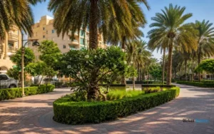 Parks and Outdoor Activities