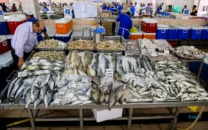Fish Market