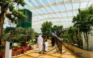 Glass House