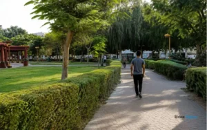 Walking and Light Exercise