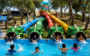 Twisting Dragons