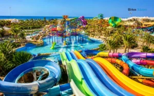 Best Rides and Attractions