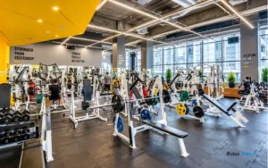 Fitness and Recreation