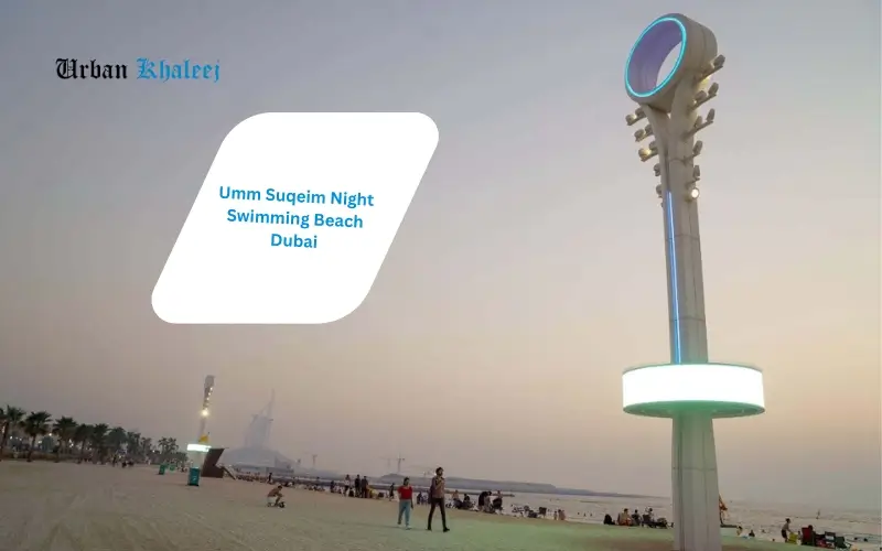 Umm Suqeim Night Swimming Beach Dubai