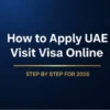 check UAE visa status