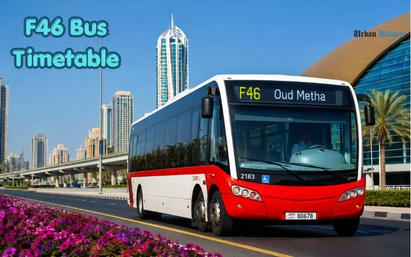 F46 Bus Timetable
