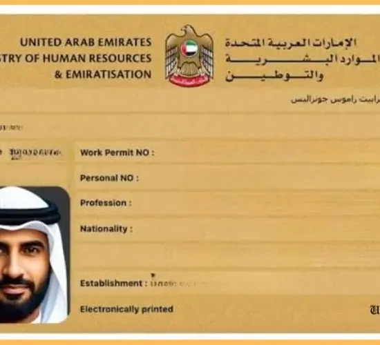 Labour Card Check