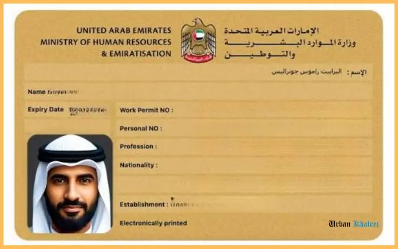 Labour Card Check
